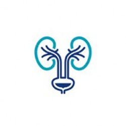 Urologia