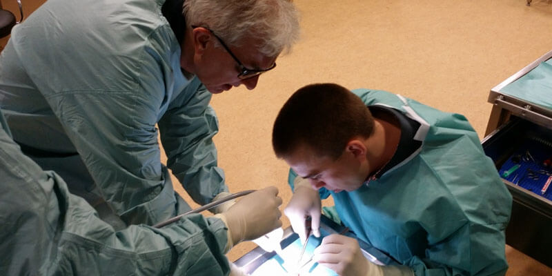 Szkolenia Cadaver Lab – Uniwersytet Medyczny