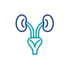 Uroginekologia