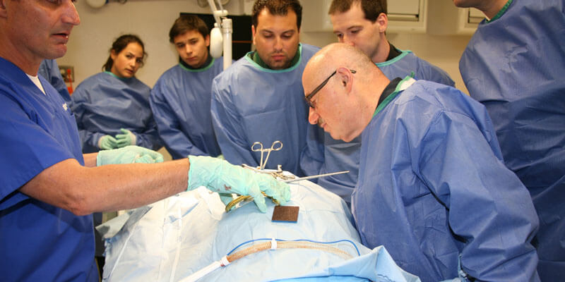 Warsztaty „Cadaver Lab” – Rekonstrukcje więzadeł stawu kolanowego ACL, PCL, MPFL